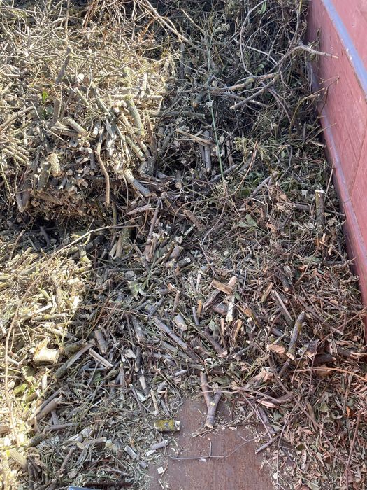 Дробилка измельчитель для веток , аренда , спил обрезка деревьев