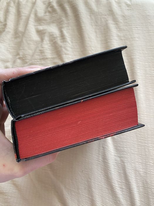 Книги «гра в кота та мишку» Полювання на Аделіну