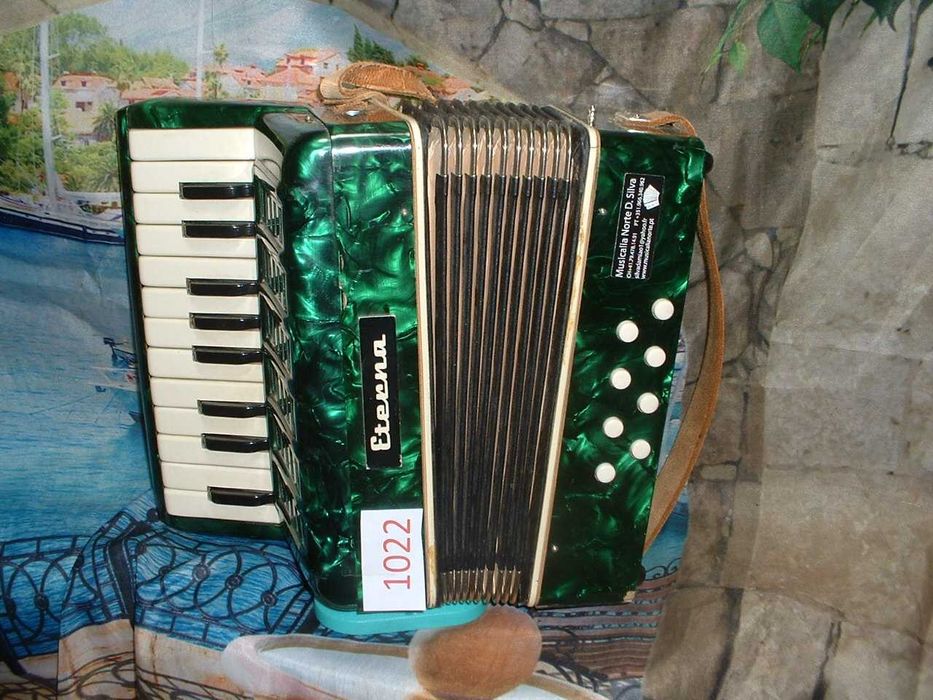 Promoção de Acordeões de concertinas