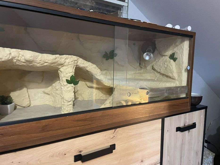 Terrarium na jaszczurki