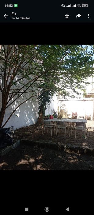 Serviço de jardinagem