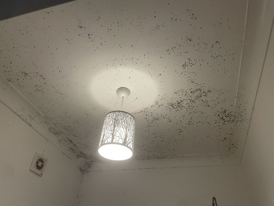 Pintura e limpeza de humidades