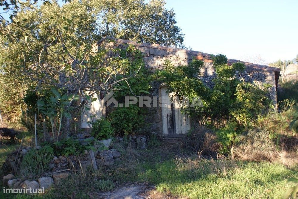 Quintinha para venda