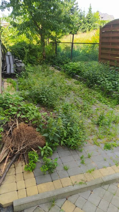 mycie kostki brukowej czyszczenie elewacji impregnacja mycie dachów