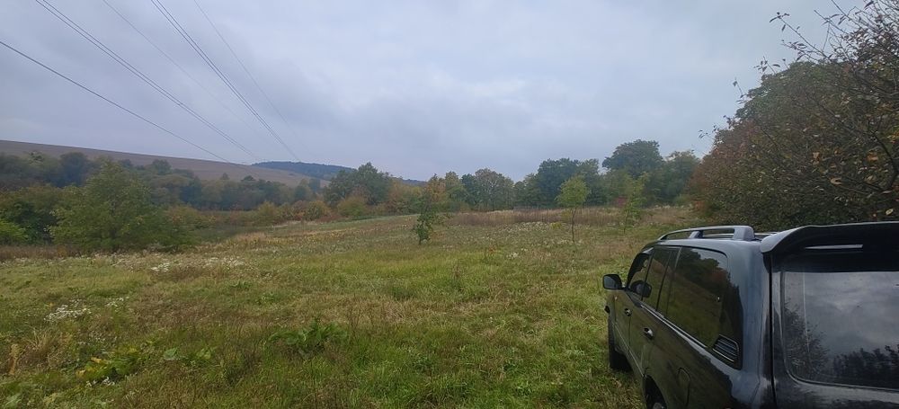 Земельна ділянка с. Береги