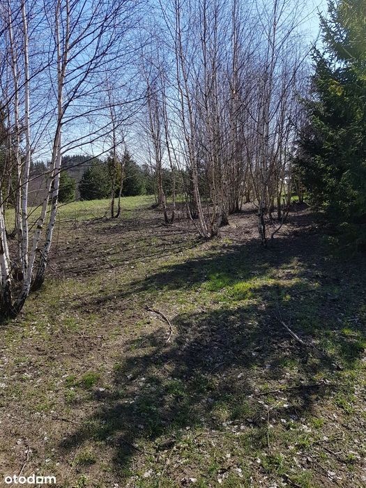Piękna działka 1234 m² | MPZP | blisko Trójmiasta | bezpośrednio