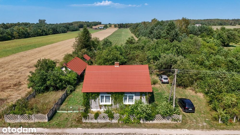 Dom – Ławki, powiat opoczyński - Widok 2
