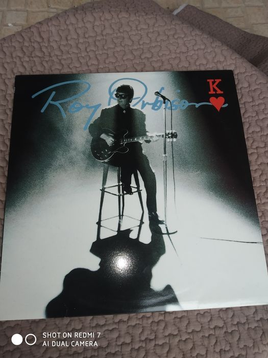 Vinil Roy Orbison