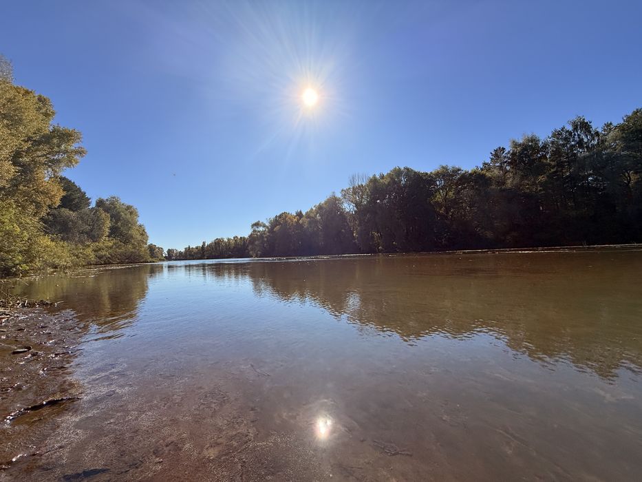 10 сот біля рибного каналу 250м поряд ліс та київське море терміново