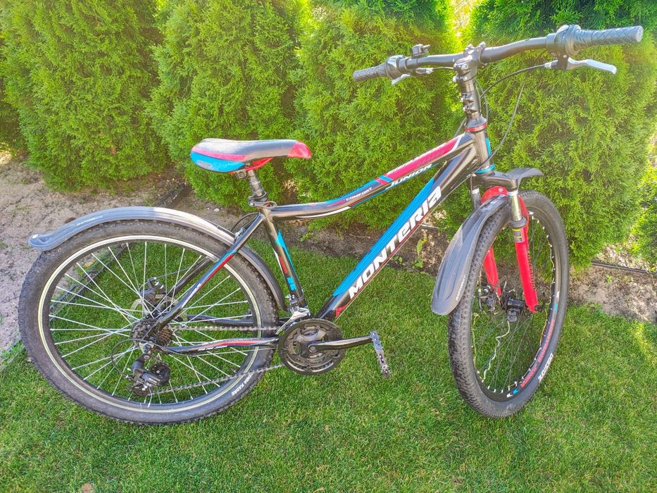Rower Monteria Junior 26