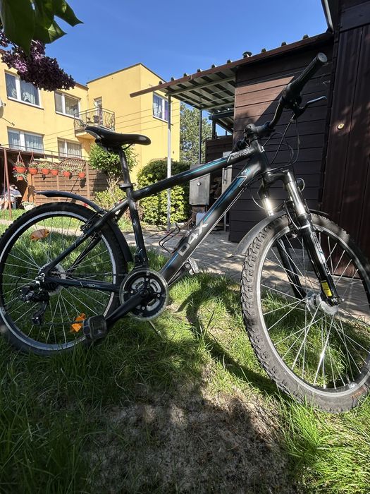 Rower Męski D4X.