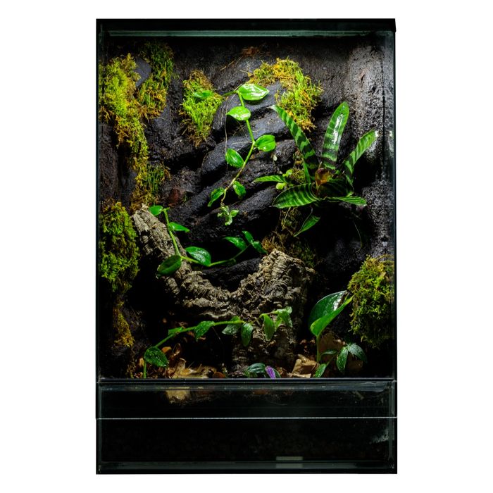 Terrarium tropikalne gekon 40x40x60