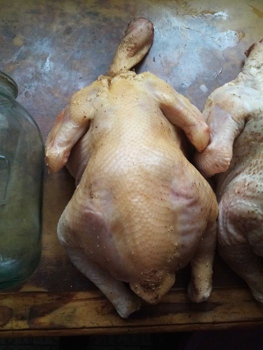 Тушки  ДОМАШНЬОГО бройлера