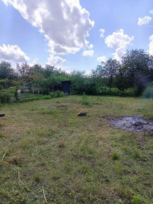 дача дачный участок 10 сот чернигов  ст квитневе озеро лес пов халявин