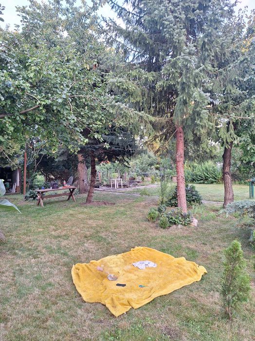 Działka ROD Augustówka 554m2