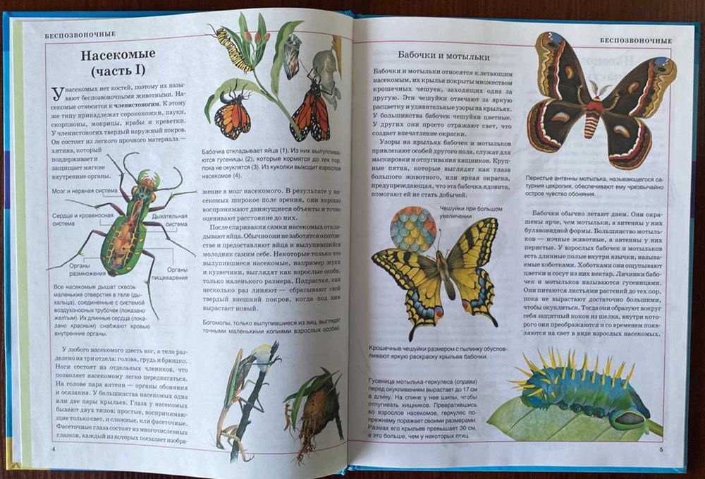 Книга "Животные" Клэр Астон 2008 год ККСД