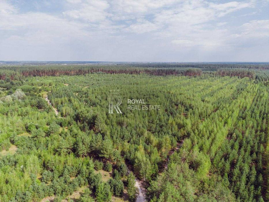 Продаж Земля Макарівський район Фасова 9 га Індивідуальне садівництво Ліс Водойма Котеджний проект Транспортна доступність 2 км до траси