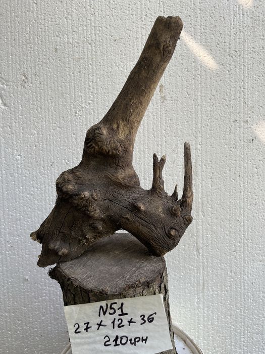 Коряги в акваріум