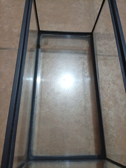 Aquário peixes ou tartaruga
