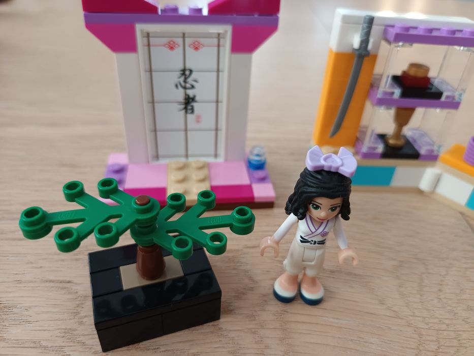 Lego friends karate