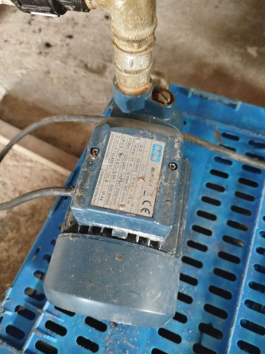 Relador de uvas em bom estado