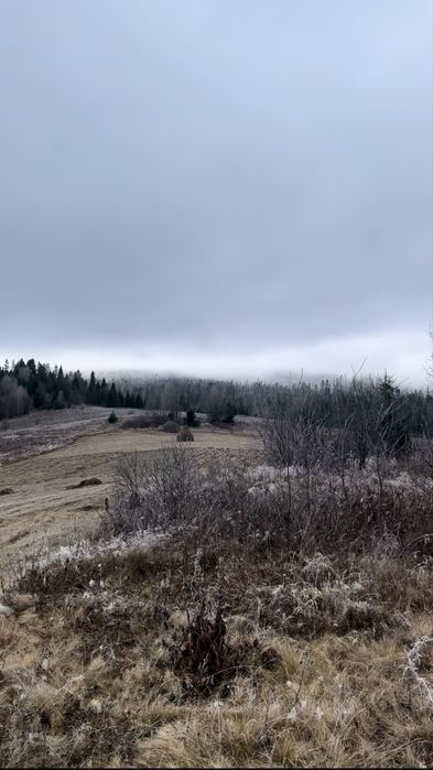 Продаж ділянки з фундаментом під котеджі у Карпатах, на горі