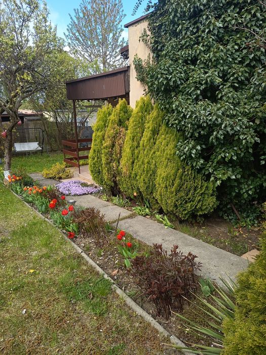 Ogródek działkowy ROD - Widok 5