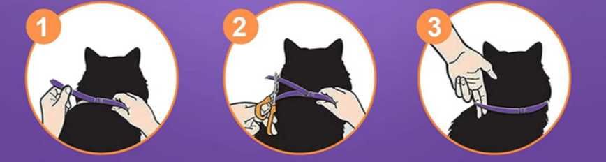 Obroża Dla Kota Uspokajająca Feromonowa Antystresowa 38 Cm Relaksująca