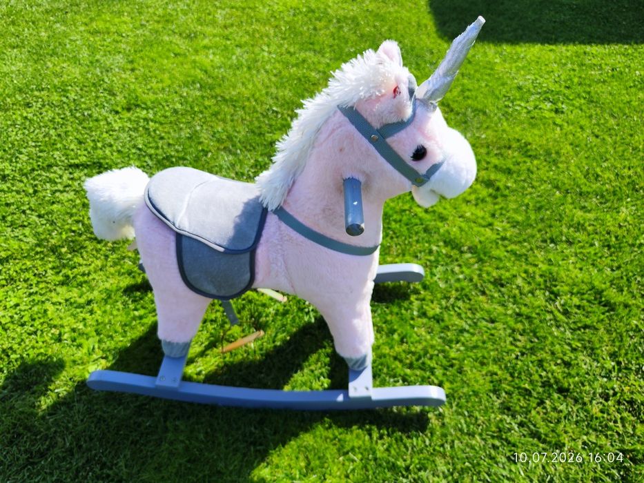Konik na biegunach