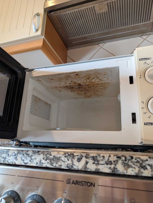 Microondas Electronia