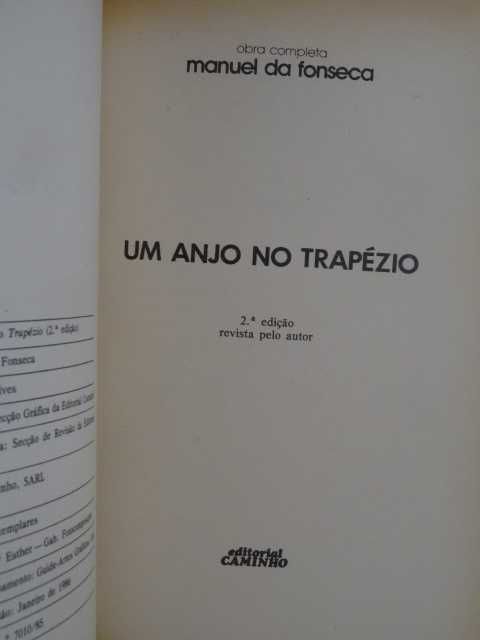 Um Anjo no Trapézio de Manuel da Fonseca