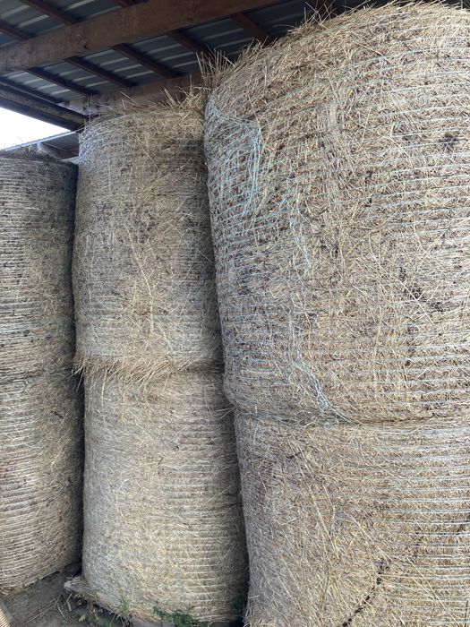 Siano pierwszy pokos 2025