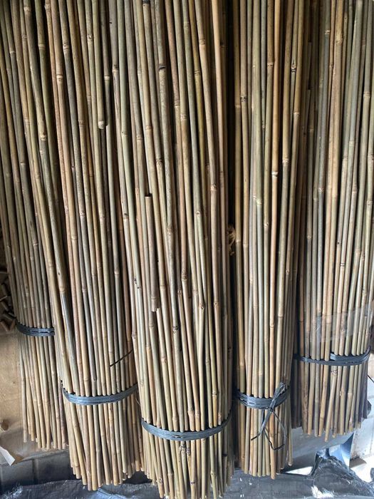 Tyczki bambusowe, 180cm, 12-14mm, bambus, tonkin