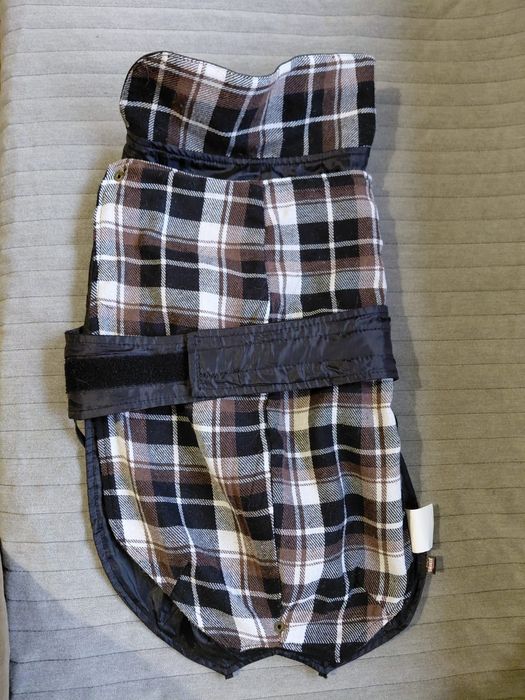 Capa de chuva para cão de porte médio