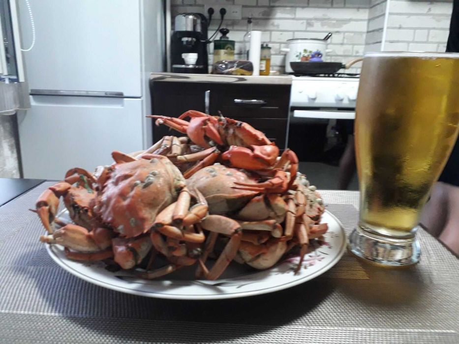 Крабы, раки, креветка, морепродукты. Живые, вареные.