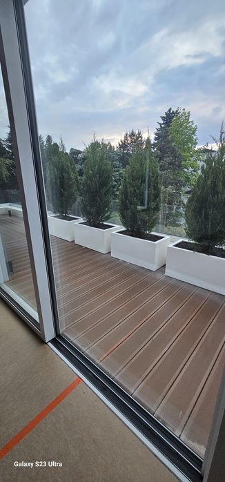 donice z iglakami do ogródka