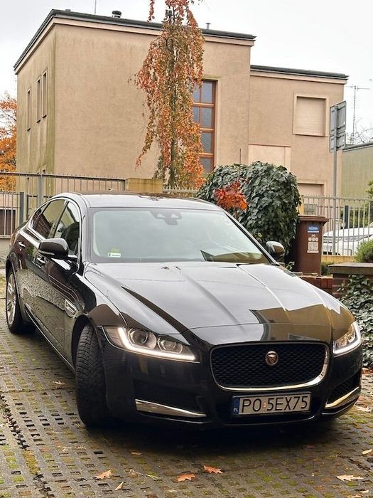 Jaguar XF 25AWD Pierwszy właściciel, kupiony w autoryzowanym serwisie