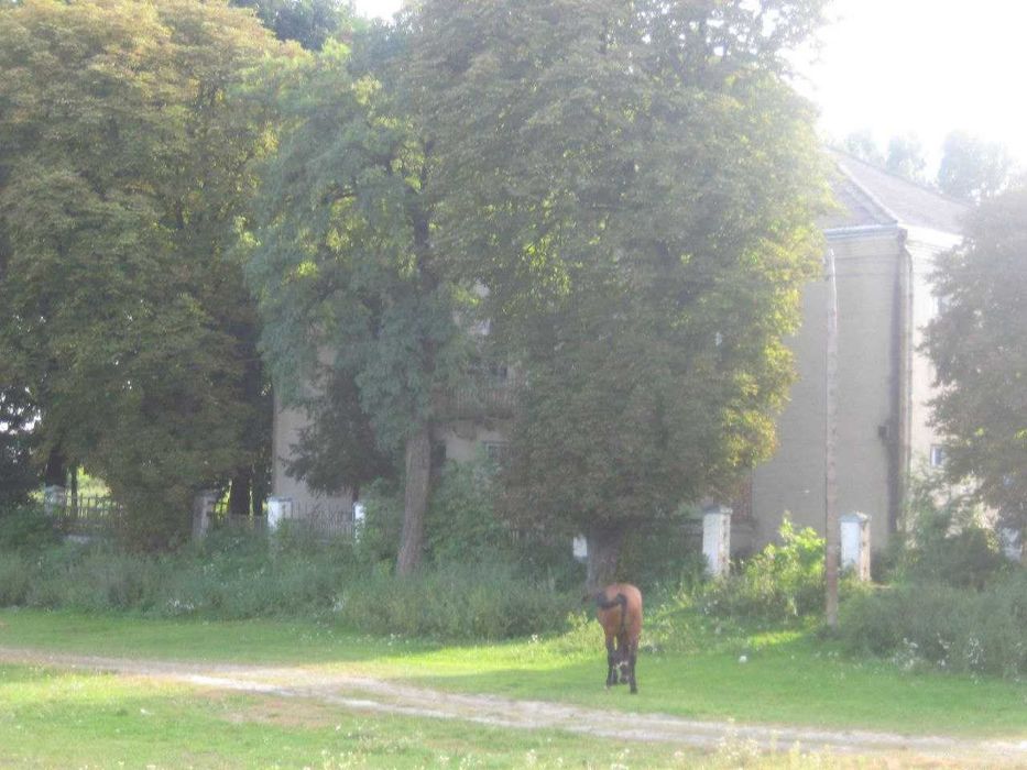 Комерційна нерухомість: адмінбудівлі, гараж, прохідна | Продаж