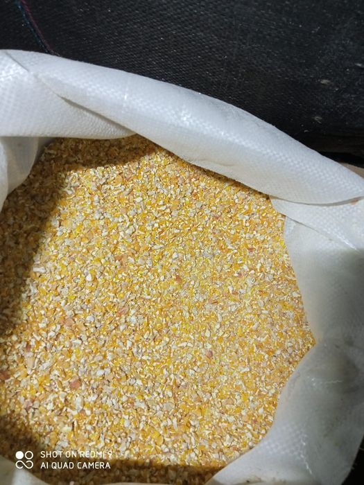 Kukurydzą  czerwona drobna  oraz kukurydzą grubo / drobno mielona