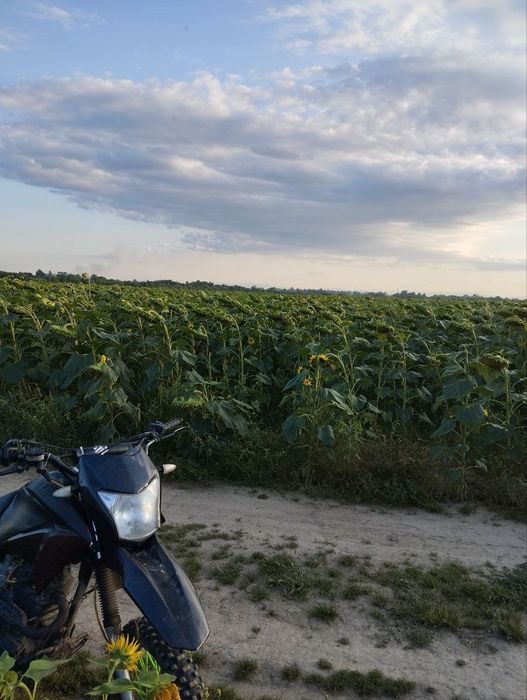 Geon x road lights 200