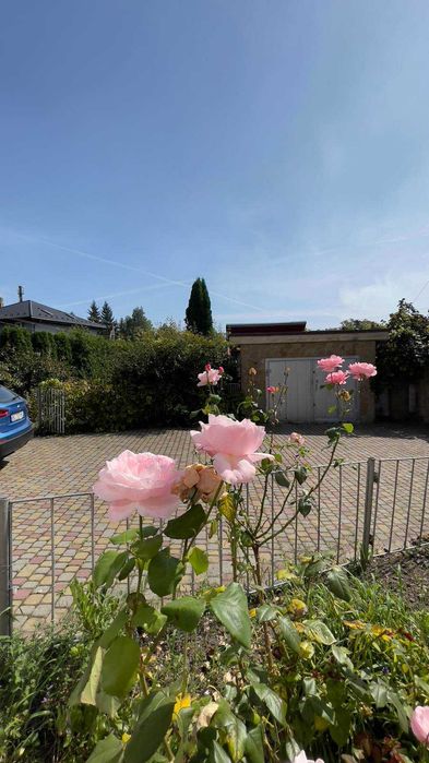 Продаж будинка та землі по вул. Мучна паркова зона Шевченківський Гай