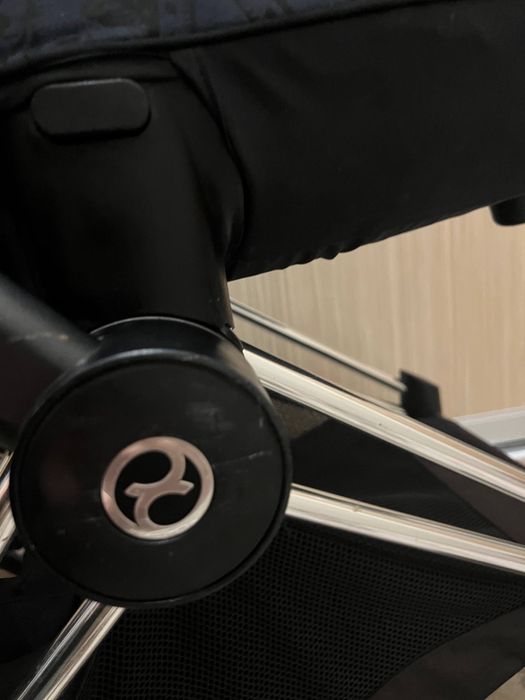 Візок Cybex Priam jewels of nature 2в1