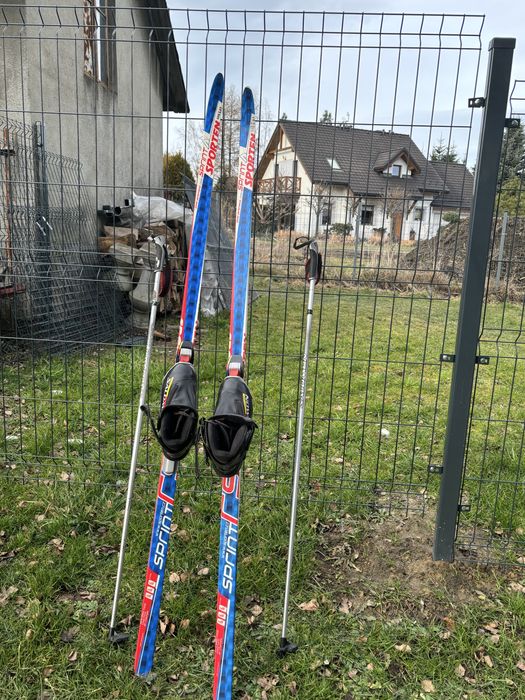 komplet narty biegowe, buty salomon 38, kijki 120cm