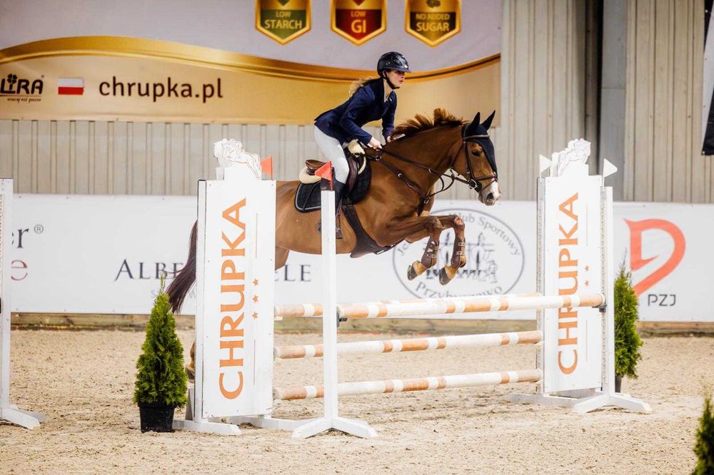 Koń idealny do wprowadzenia do sportu