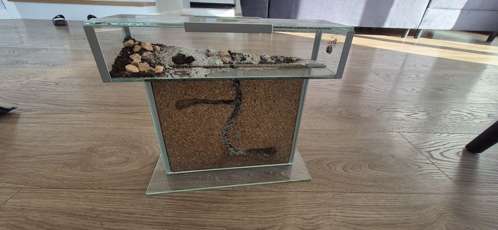 Formikarium arena terrarium