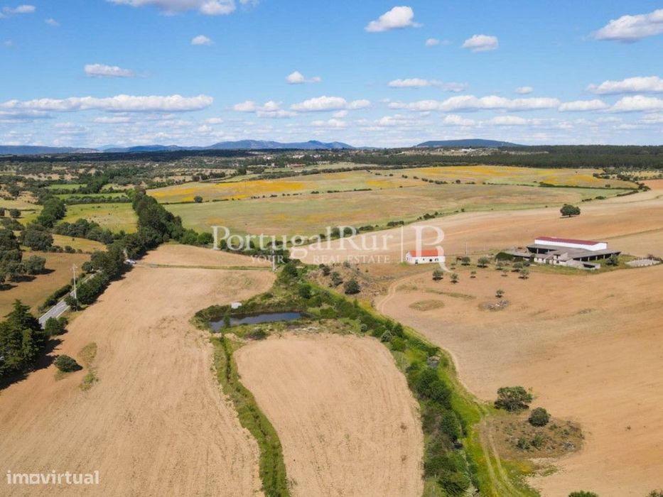 Herdade com 72 ha com possibilidade para regadio na região de Caste...