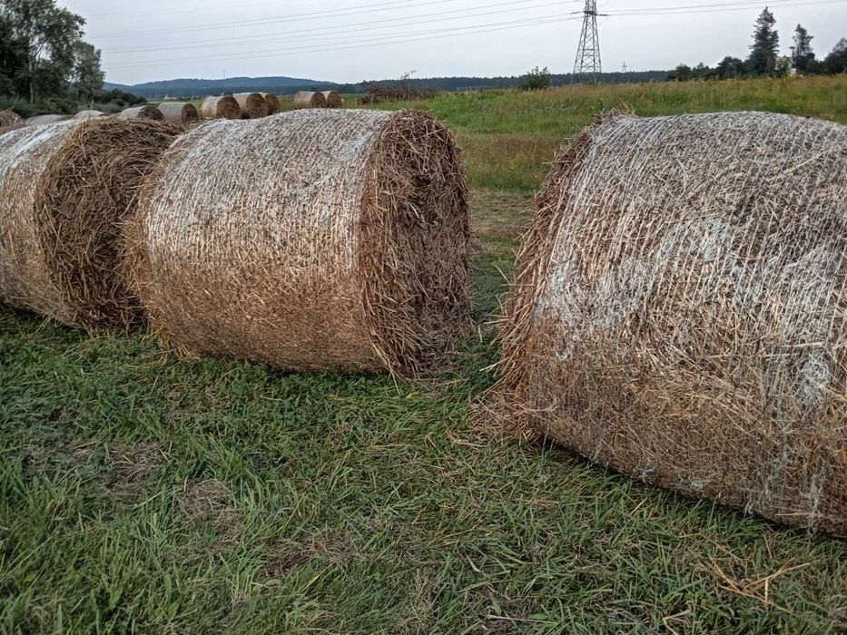 Słoma i siano z pod dachu. Możliwość transportu.