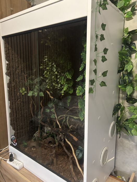 Sprzedam terrarium z wysposazeniem