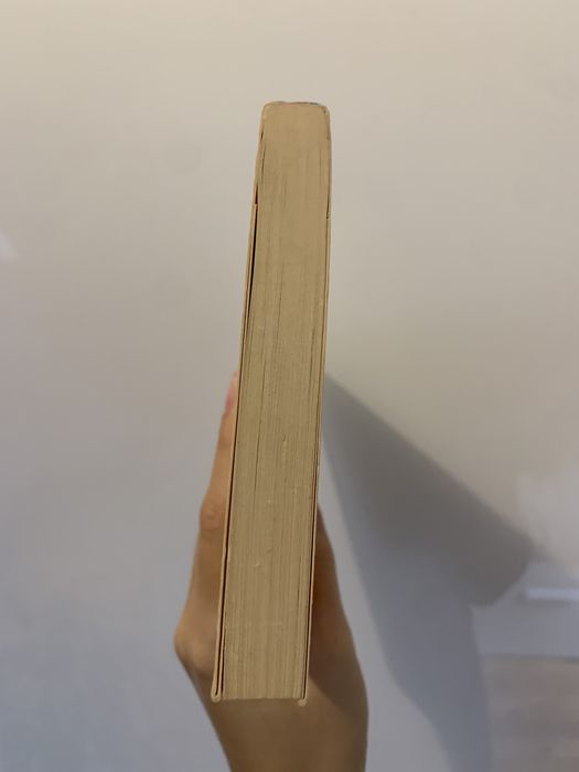 Anne Tyler Pożegnanie dla początkujących