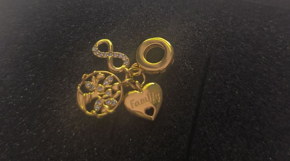 Charms ,, rodzina" do Pandora